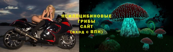 прущие крисы Медвежьегорск
