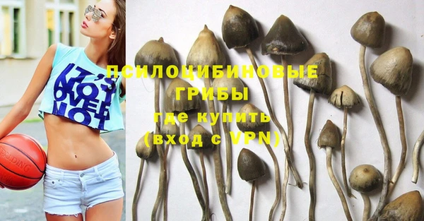 а пвп мука Михайлов