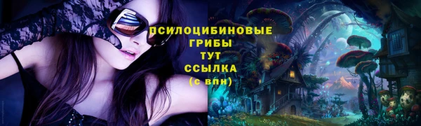 дживик Медногорск